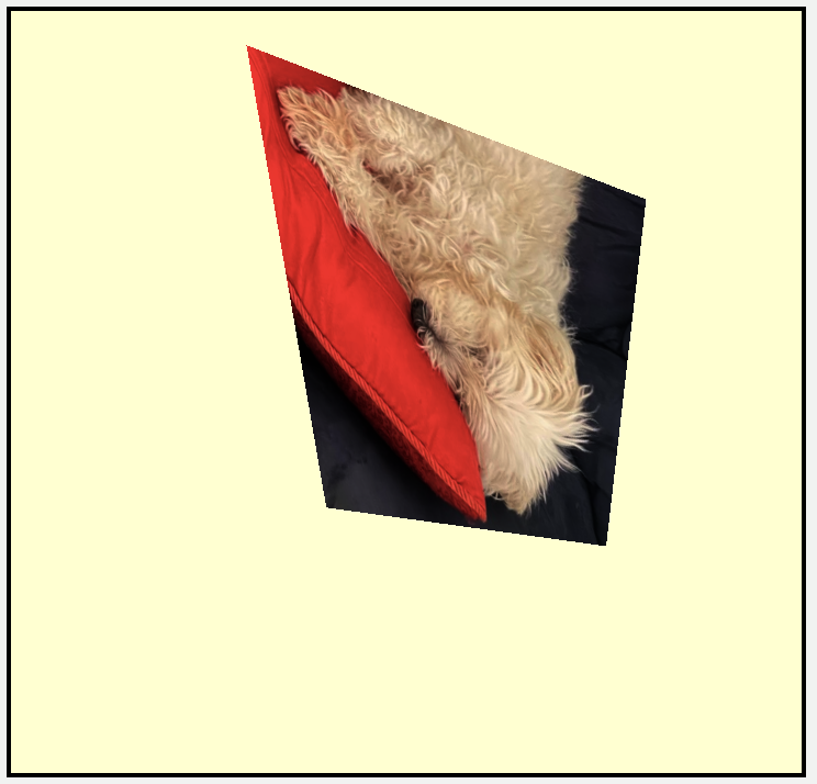 Screen Shot 2021-08-02 at 4.33.15 pm